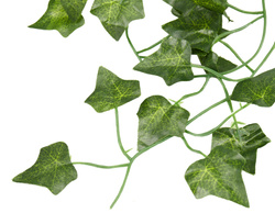 Bluszcz sztuczny DEC-BL2 - 2,3m 1 szt.