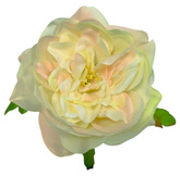 Główka piwonii 13cm, kremowa