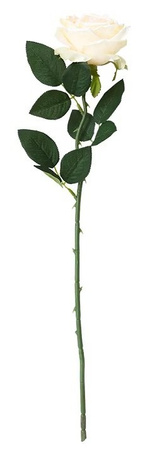 Róża gałązka bukiet kremowa  1 szt. 