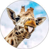 Opłatek tortowy 29 cm, Zwierzęta Zoo Żyrafa 1 szt.