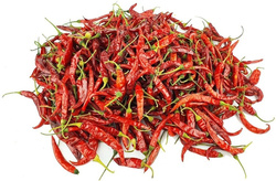 Papryka chili czerwona 6cm - 50g