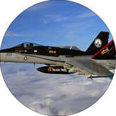 Opłatek tortowy 29 cm, Wojsko 1szt.