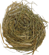 Sianko na stół wigilijny 1 op.