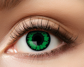 Soczewki Tygodniowe, ZIELONE Jaszczurka