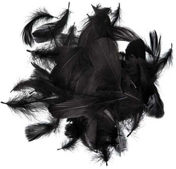 Piórka Czarne 10-12cm op. 50szt.