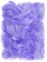 PIÓRKA Dekoracyjne FIOLETOWE Liliowe 5-12cm 10g