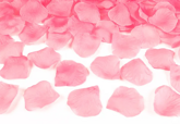 Płatki róż 100 szt, różowe