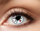 Soczewki 12 miesięczne, KRWAWY PAJĄK