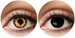 Soczewki Duo 3-miesięczne twilight + black witch