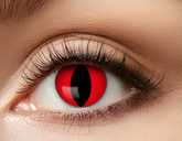 Soczewki 3 miesięczne, CZERWONY KOT