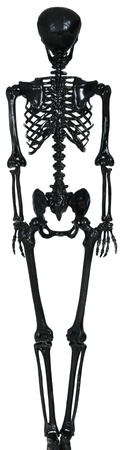Czarny SZKIELET Człowiek KOŚCIOTRUP Halloween 160c