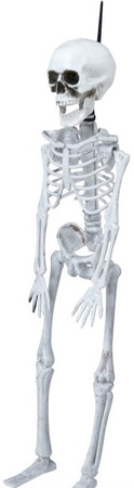 Biały SZKIELET Człowieka KOŚCIOTRUP Halloween 40cm