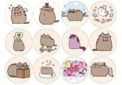 Muffiny na babeczki, Pusheen 1 kpl.