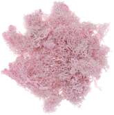 Mech Reniferowy Dekoracyjny Naturalny Różowy 30g