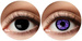 Soczewki Duo 3-miesięczne black witch + purple mon