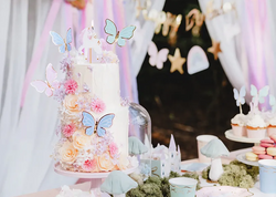 Toppery na tort Motylki, 9 x 6.5 cm 9szt.