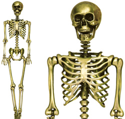 Złoty SZKIELET Człowiek KOŚCIOTRUP Halloween 160cm