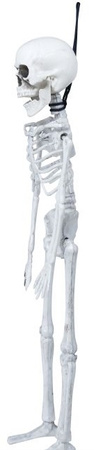 Biały SZKIELET Człowieka KOŚCIOTRUP Halloween 40cm