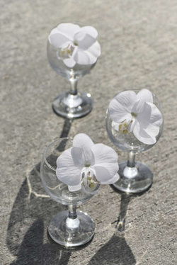 Dekoracja Orchidea, biała 4 szt.