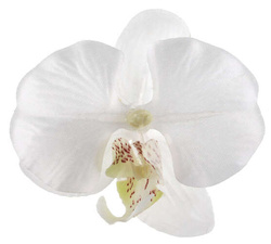 Dekoracja Orchidea, biała 4 szt.