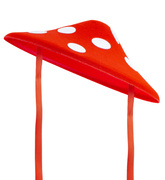 Kapelusz Czapka Grzybek MUCHOMOR Las Jesień