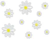 Naprasowanki Stokrotki, mix, 2x2-4.5x4.5 cm 10szt.