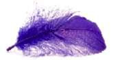 Piórka dekoracyjne, 1 op., Fiolet