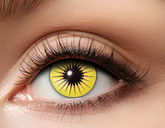 Soczewki 12 miesięczne, Żółte GWIAZDA Star