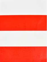 Folie elektrostatyczna na samochód 1 op.