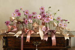 Tasiemka satynowa, brudny róż, 38mm/25m