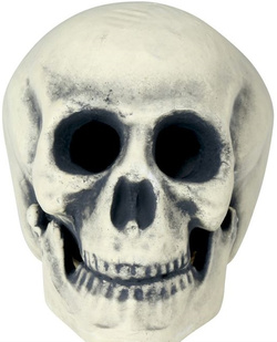 Sztuczna CZASZKA Czacha Głowa Halloween 32cm