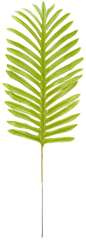 Ozdobna gałązka palmowa, 51cm, 1 op.