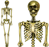 Złoty SZKIELET Człowiek KOŚCIOTRUP Halloween 160cm