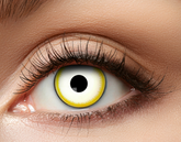 Soczewki Tygodniowe, AVATAR