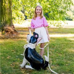 Balon foliowy Stojący Pies Border Collie 76x92cm