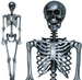 Srebrny SZKIELET Człowiek KOŚCIOTRUP Halloween 160