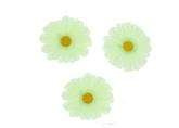 Kwiatki margaretki samoprzylepne 24 szt, j.zielony
