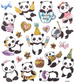 Naklejki Ozdobne Miś Panda PANDY Urodziny 21szt.