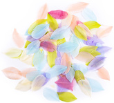 PIÓRKA Gęsie KOLOROWE PASTELOWE 6cm 5g