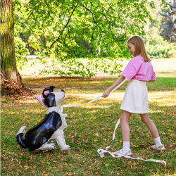 Balon foliowy Stojący Pies Border Collie 76x92cm