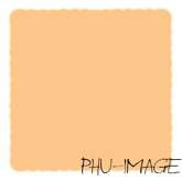 Serwetki gastronomiczne 200 szt, łosoś