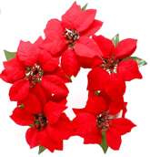 Stroik Świąteczny Wieniec Gwiazda Betlejemska 25cm