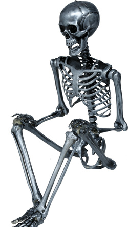 Srebrny SZKIELET Człowiek KOŚCIOTRUP Halloween 160