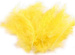 Piórka Zółte  10-12cm / opakowanie 50 szt.