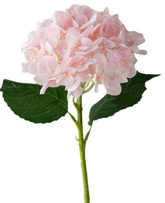 Bukiet hortensja różowy, 35 cm, 1 szt.