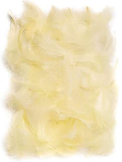 Piórka Ecri 10-12cm op. 50szt.