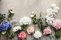 Sztuczny Kwiat - Biała Hortensja, 35 cm