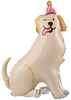 Balon Foliowy stojący Pies Golden 76x96cm