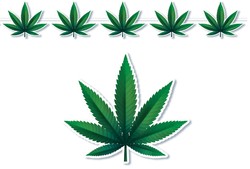 Girlanda Baner MARIHUANA Liście Konopi 300cm