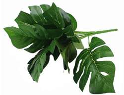 filodendron (monstera) - bukiet liście 32cm 1 szt.